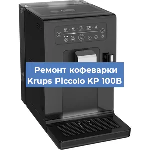 Замена прокладок на кофемашине Krups Piccolo KP 100B в Перми